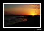 ali sul tramonto ali sul tramonto