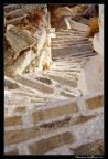 Steps Steps