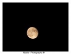 The Moon The Moon