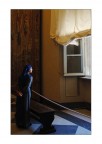 vermeer vermeer