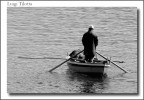 pesca nel porto pesca nel porto