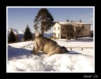 che buffo che buffo