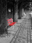 Rosso #1 Rosso #1