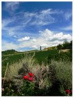 visuale rilassante visuale rilassante