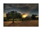 Hdr No3 Hdr No3