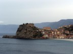 Scilla Scilla