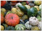 Qualche zucca? Qualche zucca?