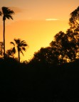 tramonto a Scottsdale (ARIZONA)