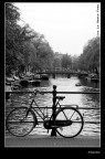 Amsterdam n°1 Amsterdam n°1