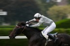 Panning ippico Panning ippico