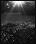 Backlighting Backlighting