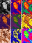 Warhol Warhol