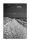Ir Test No2 Ir Test No2