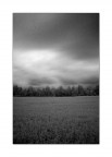 Ir Test No6 Ir Test No6