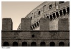 I Merli di Castel Sant'Angelo I Merli di Castel Sant'Angelo