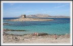 Panorama dell'isola piana e asinara