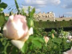 Versailles...tra le rose Versailles...tra le rose