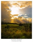 Sunset Burst