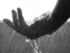 Acqua Acqua