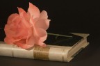 la rosa ed il libro