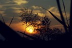 Only a sunset Only a sunset