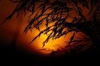 Only a sunset Only a sunset