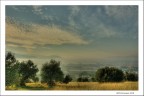 landscape landscape