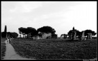Passeggiata nella storia. Passeggiata nella storia.