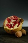 melonoci melonoci