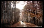 Passeggiare Passeggiare