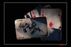 tha joker tha joker