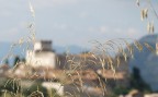 Sermoneta Sermoneta