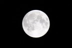 notte di luna piena notte di luna piena