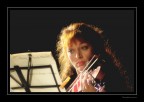 il violino il violino