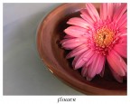 Flower#1 Flower#1