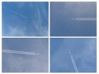 cielo cielo