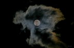 moon light moon light