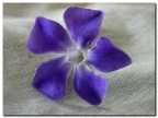 Textures Textures