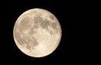 my moon my moon