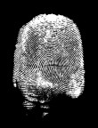 human texture human texture