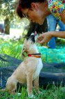 Lilla kiss Lilla kiss