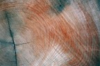 contest #21 texture contest #21 texture
