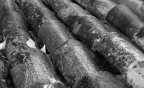 Malinconia Malinconia