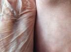 Skins (Textures) Skins (Textures)