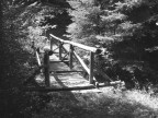 ponte ponte
