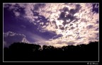 Silhouette Silhouette