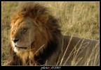 kenya 06 kenya 06