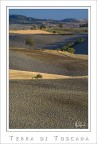 Terra di Toscana