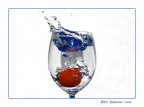 splash 01 splash 01
