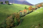 Autunno #1 Autunno #1